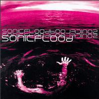 Album cover art for "I Want to Know You" by Sonicflood