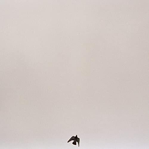 Album cover art for "Don’t You Know by Now" by Maverick Sabre