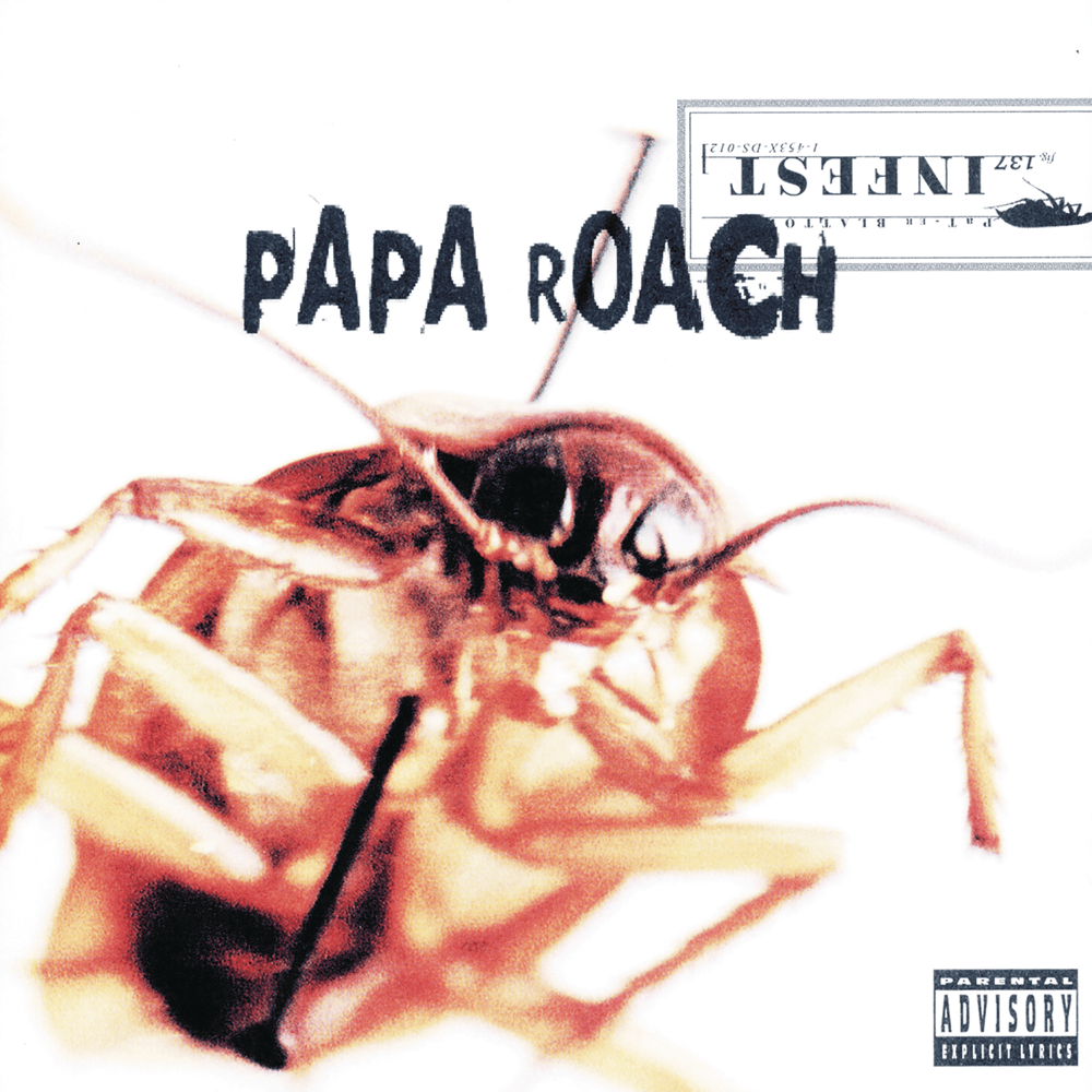 Album cover art for "Never Enough" by Papa Roach