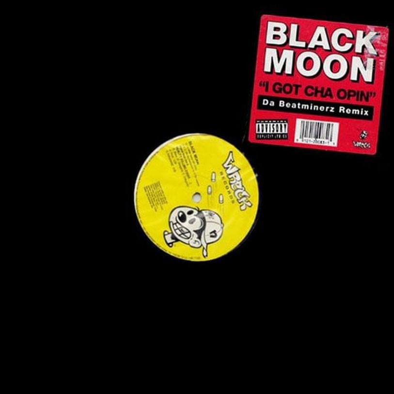 I Got Cha Opin (Remix) by Black Moon
