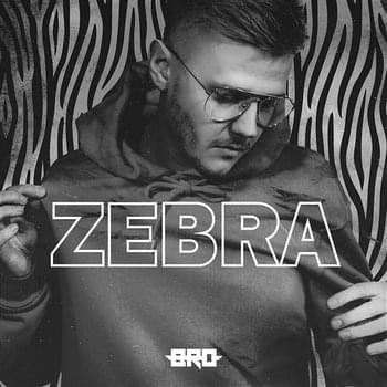 Album cover art for "Zebra" by B.R.O (POL)