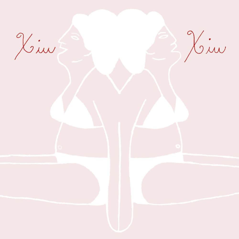 Album cover art for "Fleshettes" by Xiu Xiu