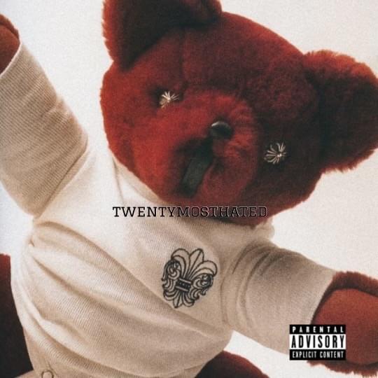 Cover image for twentymosthated