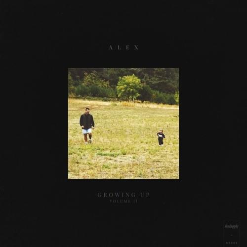 Field by Alex Lasater