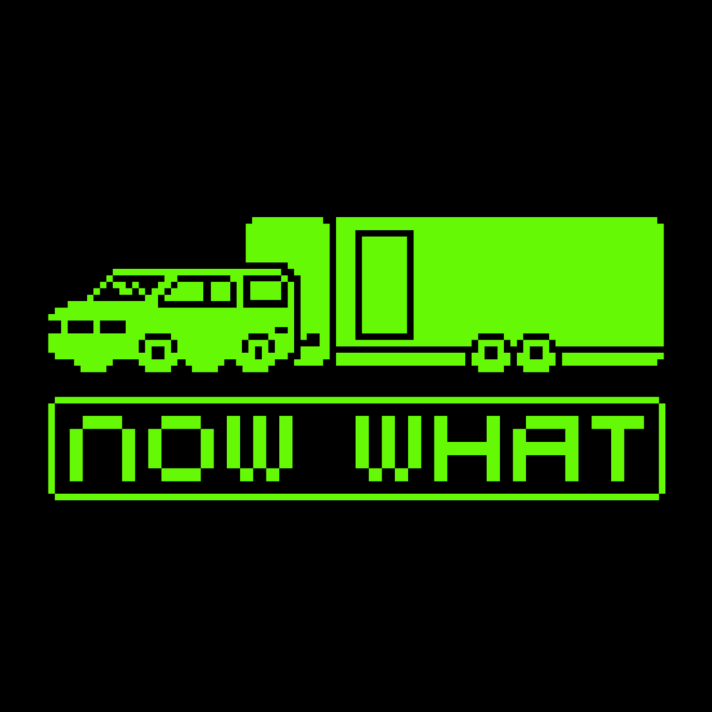 Cover image for Now What