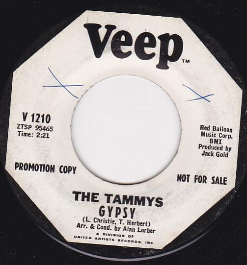 Gypsy by The Tammys