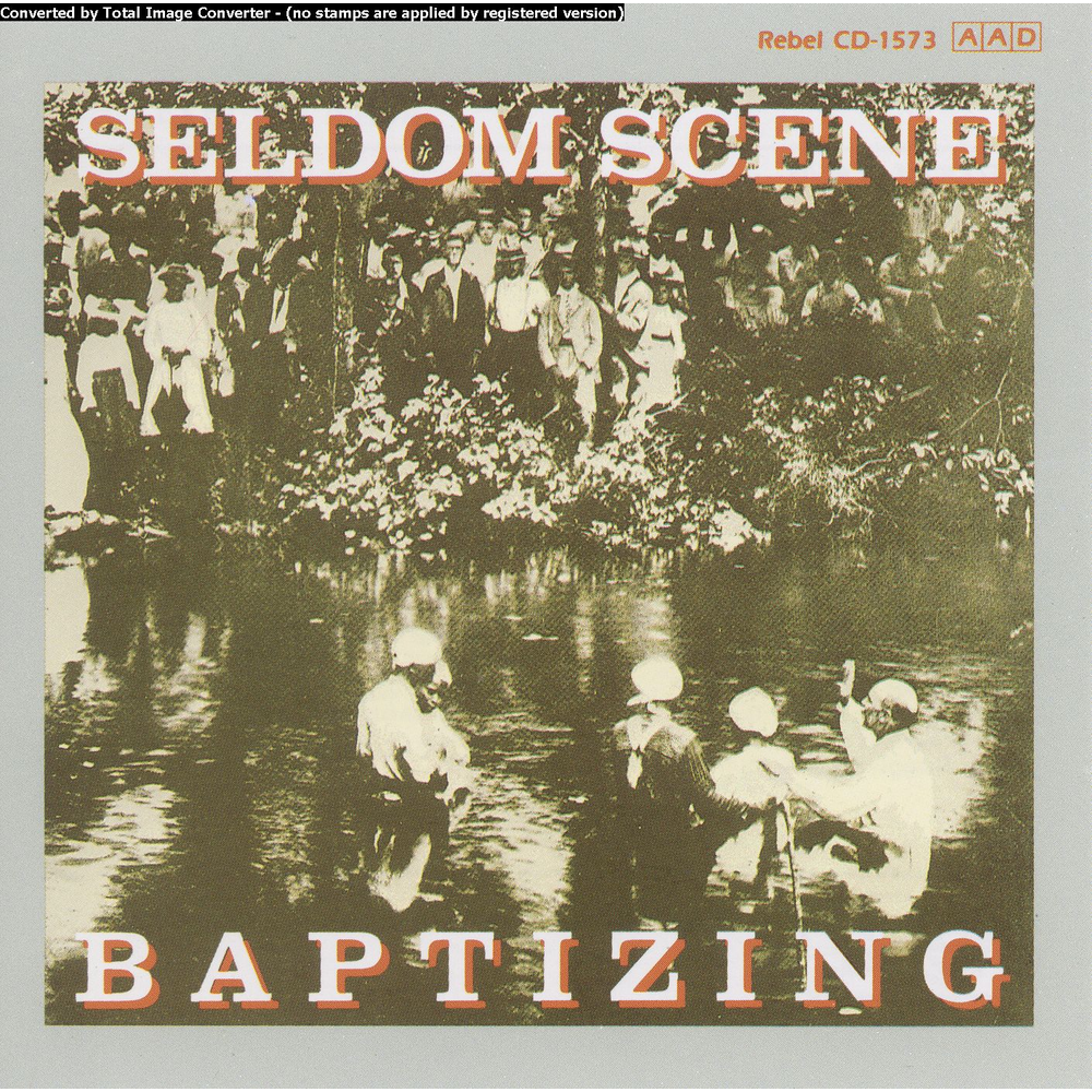Album cover art for "Were You There?" by The Seldom Scene