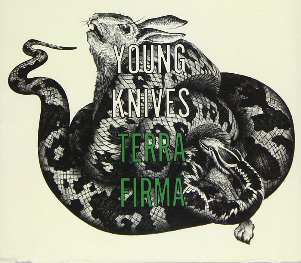 Album cover art for "Terra Firma" by Young Knives
