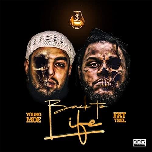 Cover image for Back to Life
