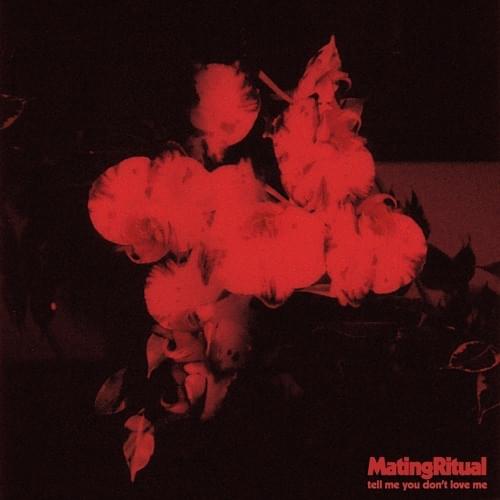 Album cover art for "Tell Me You Don’t Love Me" by Mating Ritual