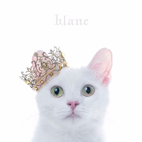 Cover image for BEST SELECTION “blanc”