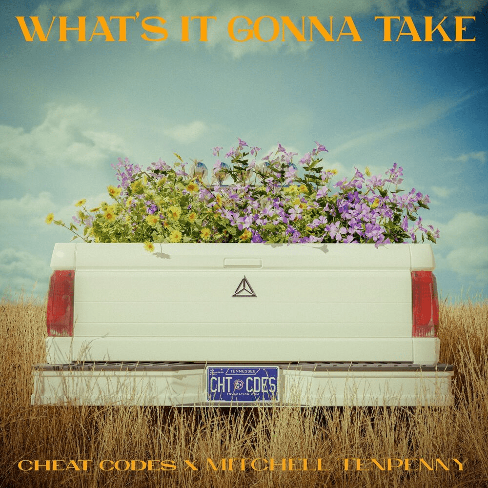Album cover art for "What’s It Gonna Take" by Cheat Codes