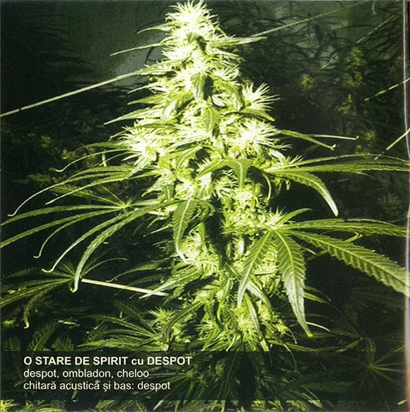 Album cover art for "O stare de spirit" by Paraziții & Adrian Despot