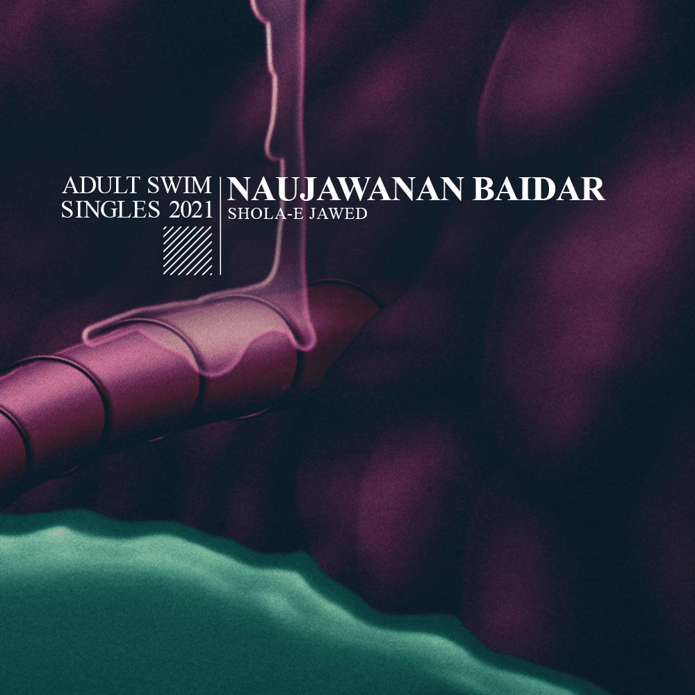 Album cover art for "Shola-e Jawed" by Adult Swim