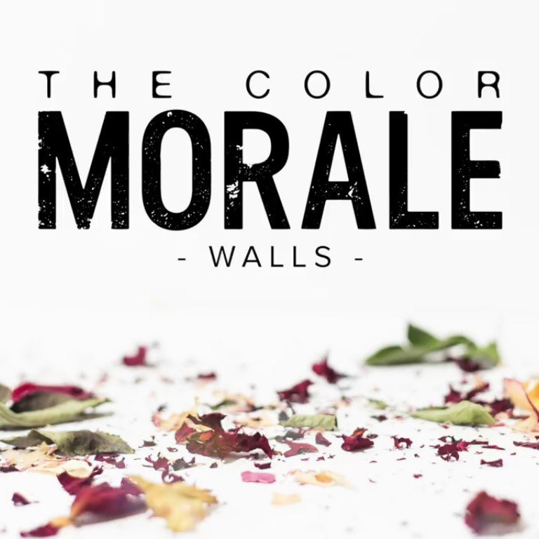 Walls by The Color Morale