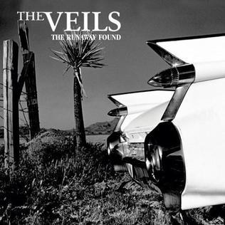 Vicious Traditions by The Veils
