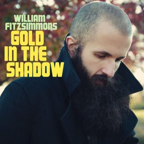 Beautiful Girl by William Fitzsimmons