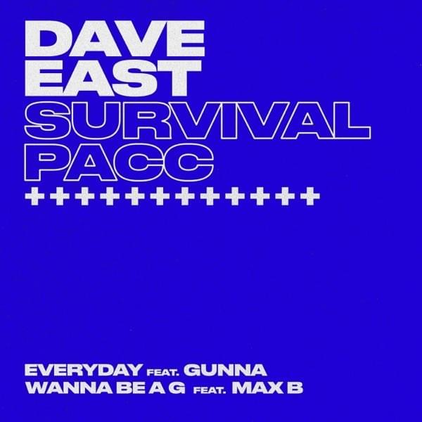 Cover image for Survival Pacc