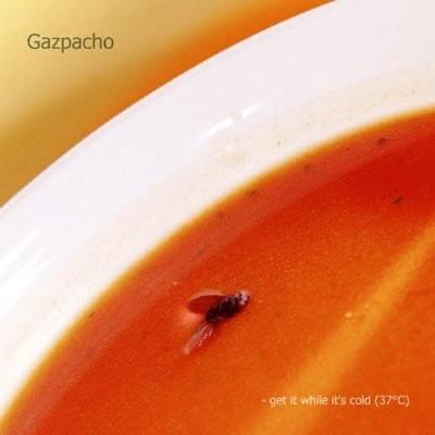 Cover image for Get It While It’s Cold (37°C)