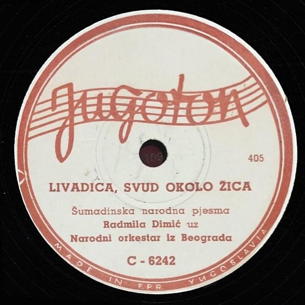 Livadica, svud okolo žica by Radmila Dimić