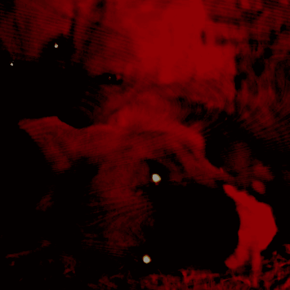 Album cover art for "WAKE" by ERIC NORTH