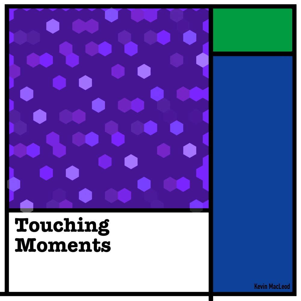 Cover image for Touching Moments