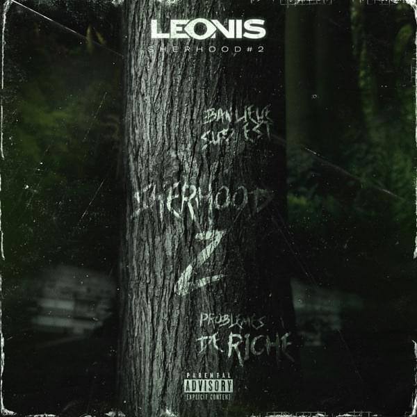 Album cover art for "Problèmes de riche (Sherhood #2)" by Leonis