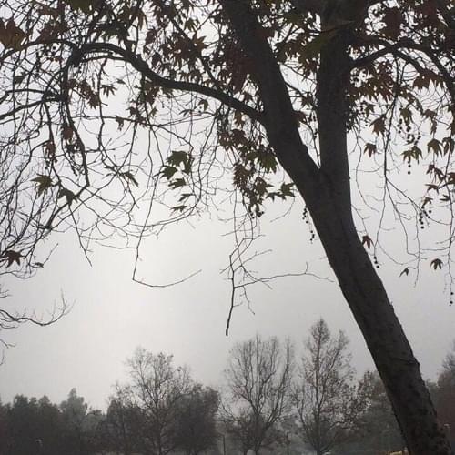 Album cover art for "24Hrs Away" by Biv