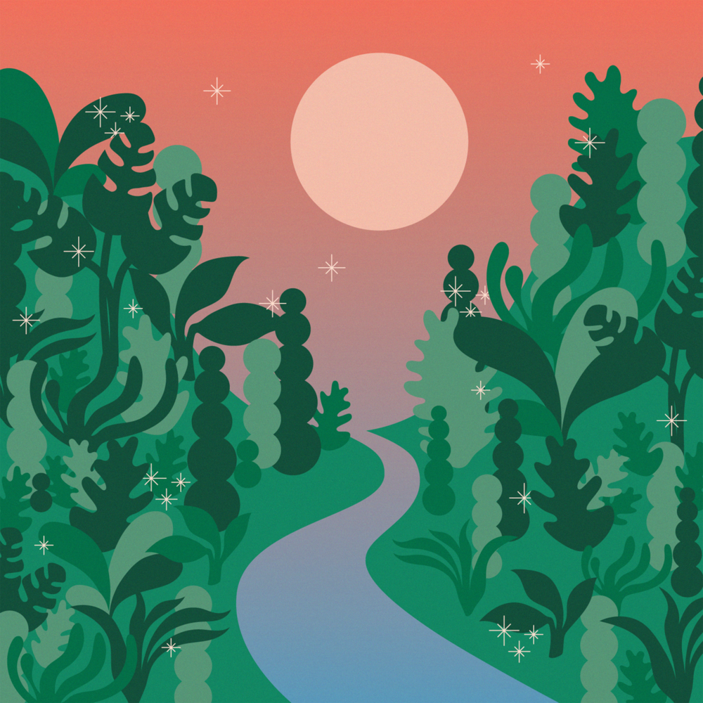 Album cover art for "Cobarde" by Ximena Sariñana