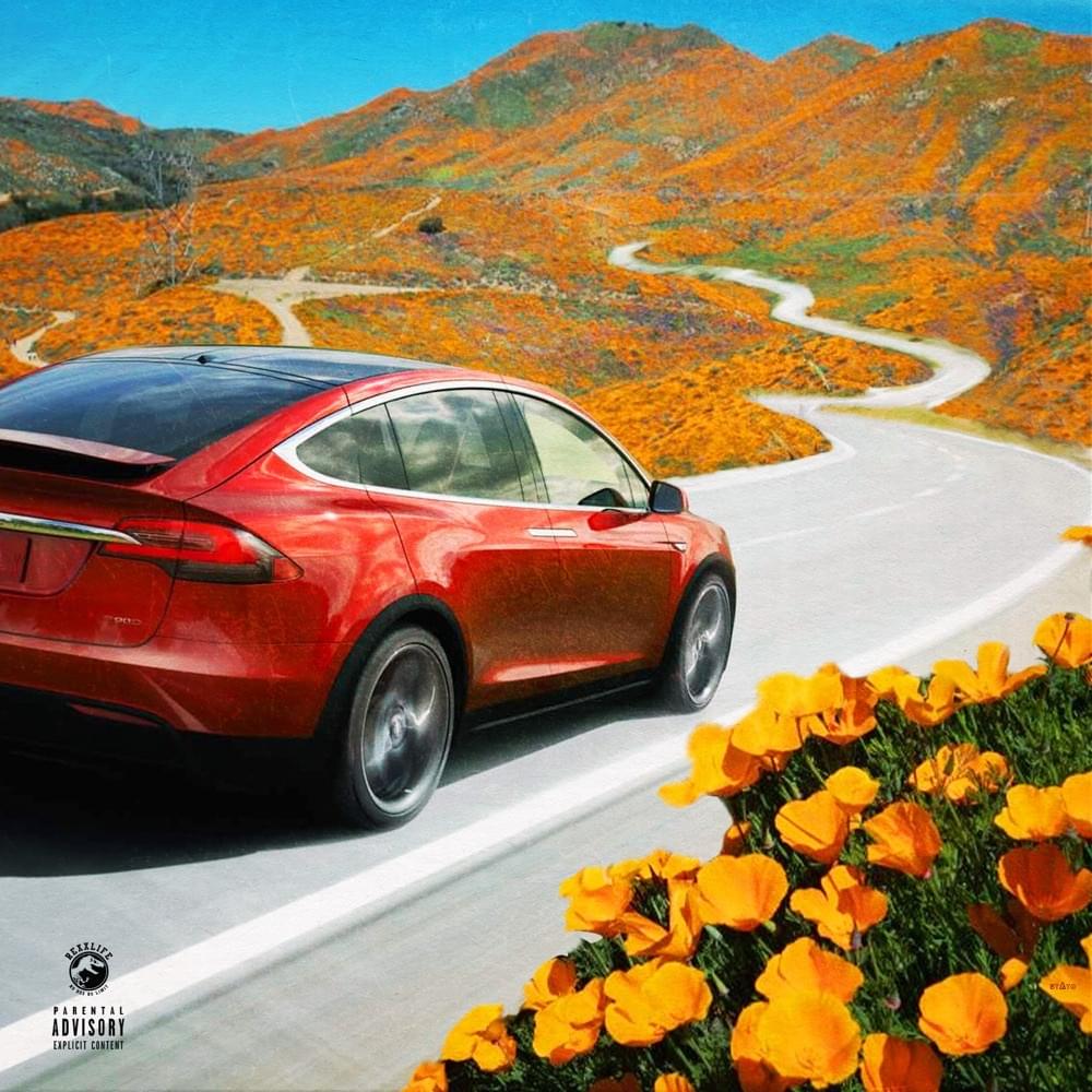 Album cover art for "Tesla In A Pandemic" by Rexx Life Raj