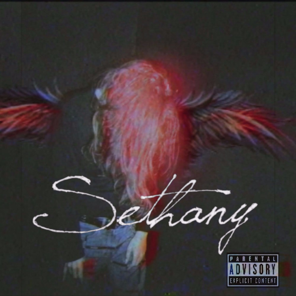 Cover image for Sethany