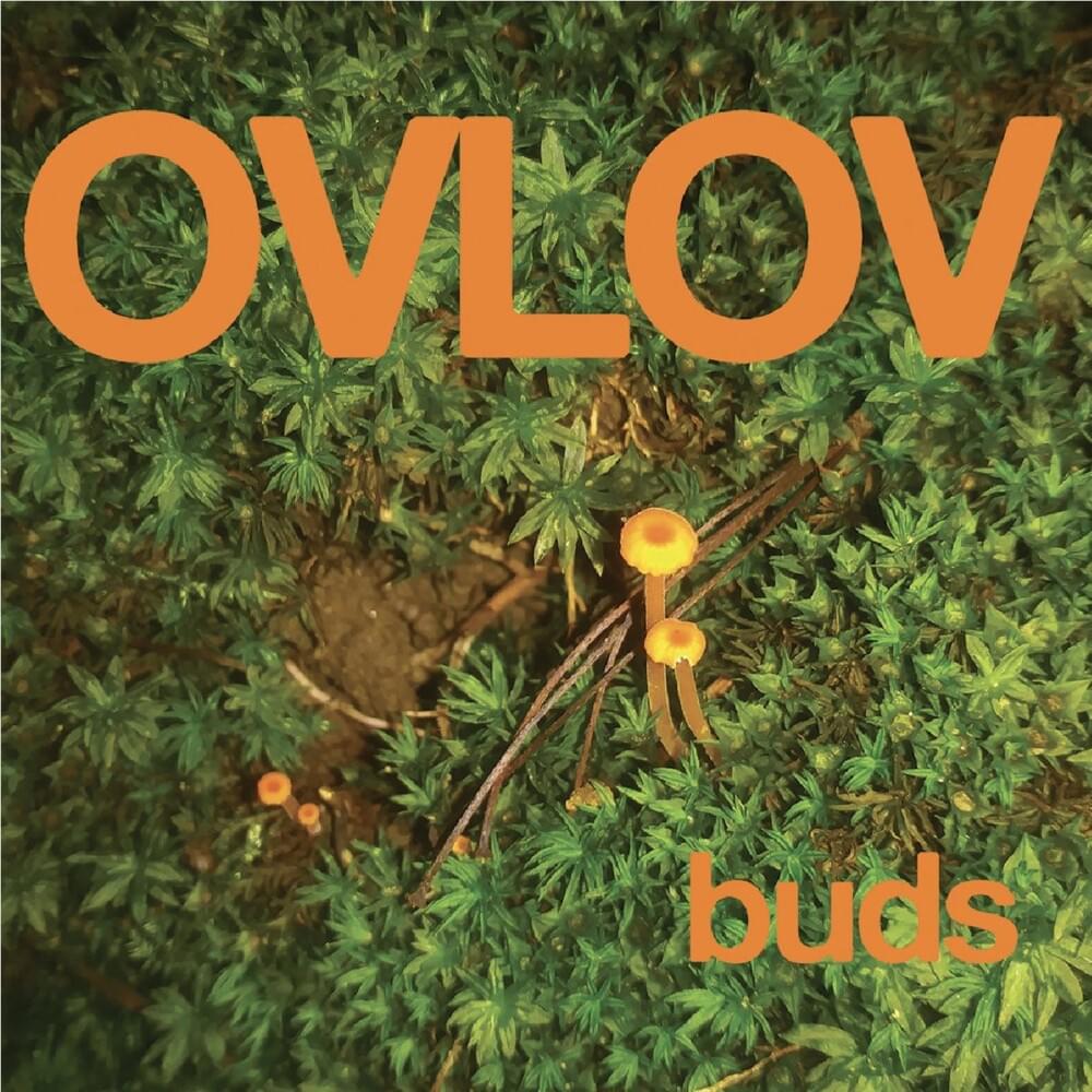 Strokes by Ovlov