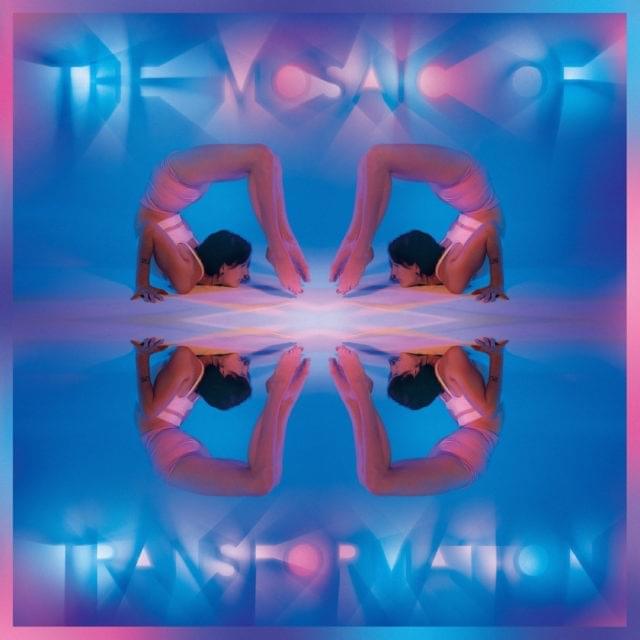 Cover image for The Mosaic of Transformation