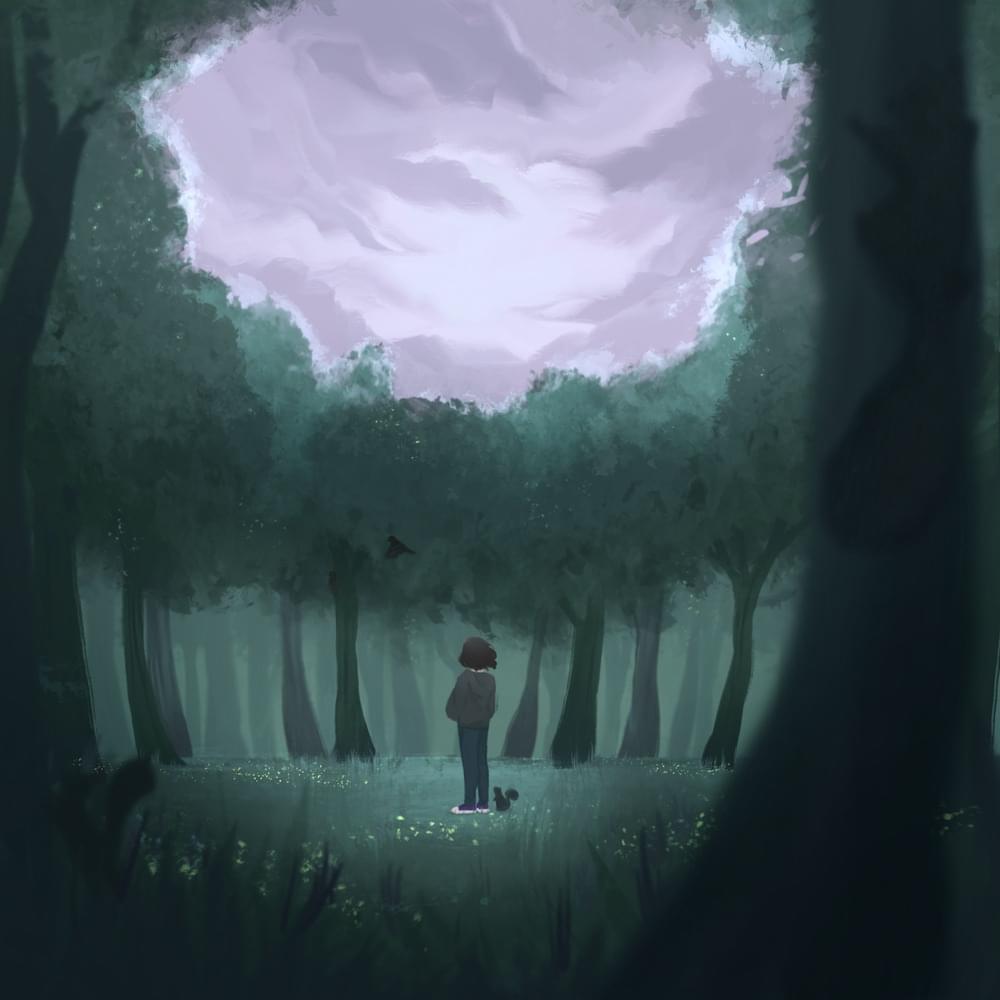 A Walk in the Woods by Hallow