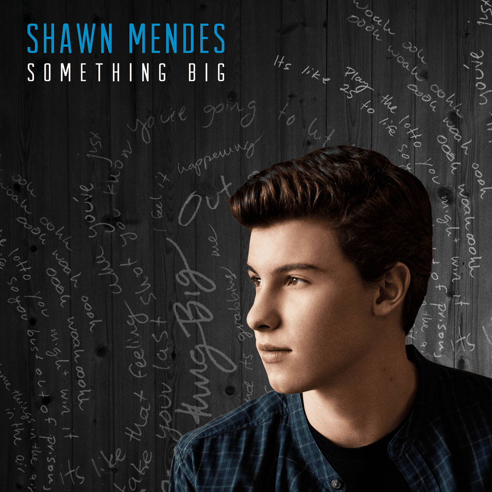Album cover art for "Something Big" by Shawn Mendes