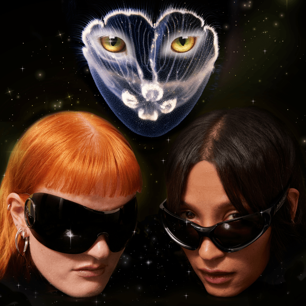 Album cover art for "I Want You" by Icona Pop