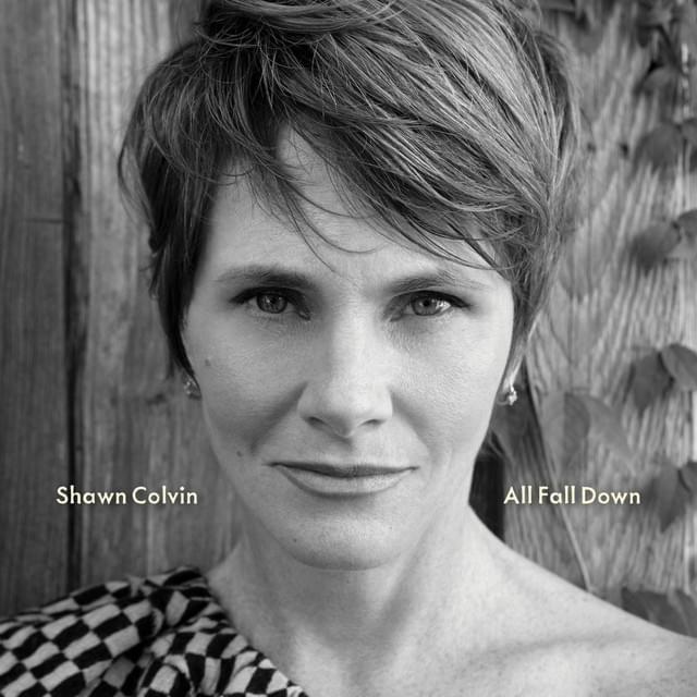 Album cover art for "All Fall Down" by Shawn Colvin