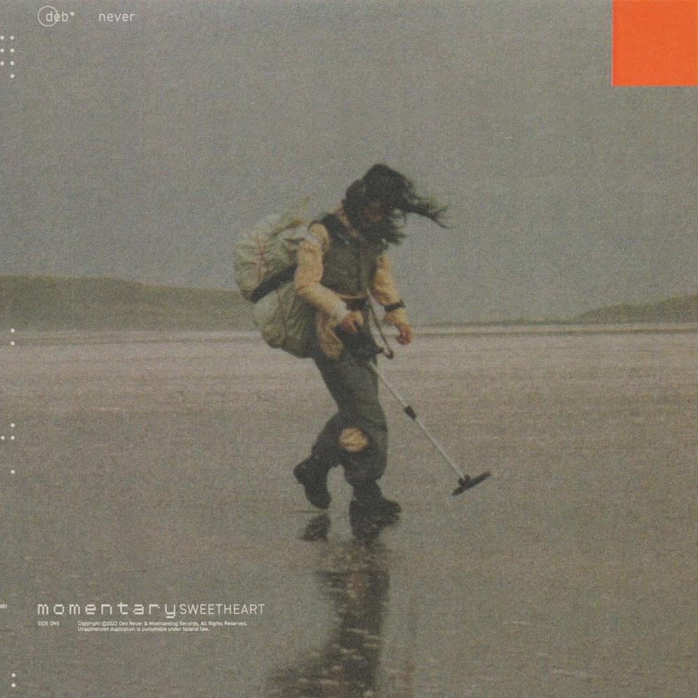 Album cover art for "Momentary Sweetheart" by Deb Never