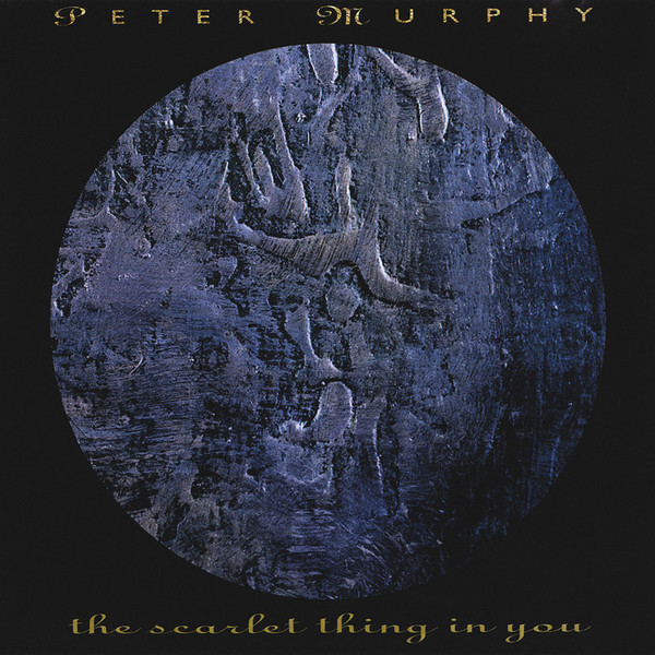 Album cover art for "The Scarlet Thing In You" by Peter Murphy