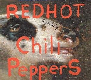 Album cover art for "What Is Soul? (Live)" by Red Hot Chili Peppers