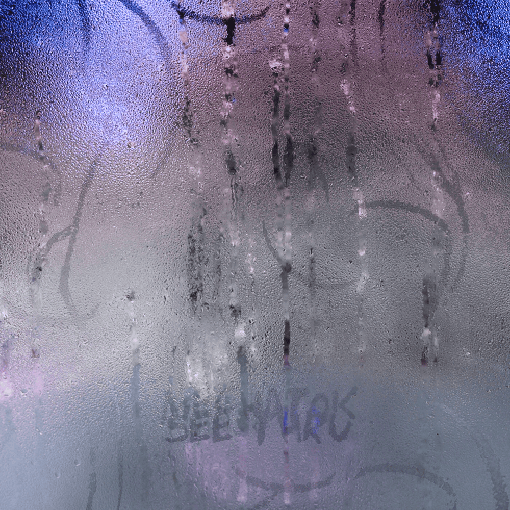 Cover image for See Thru