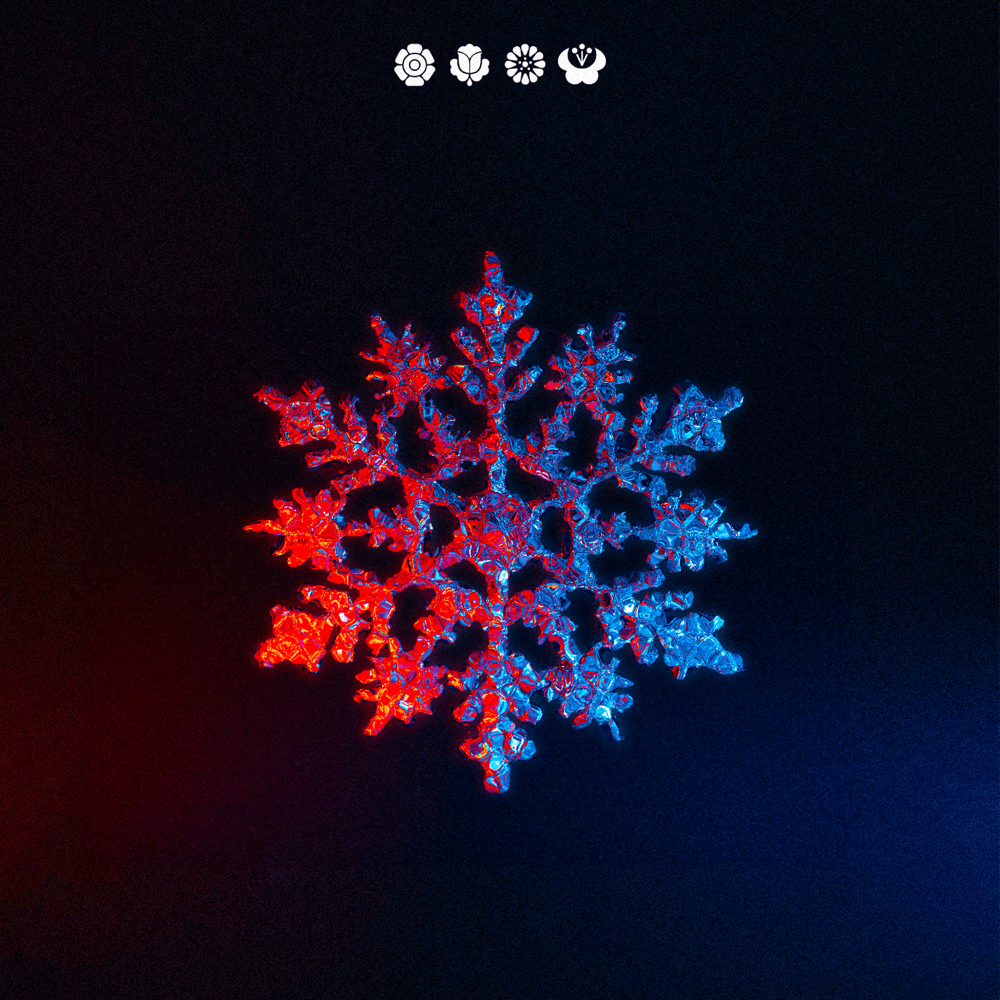 Album cover art for "Schnee" by NOAH