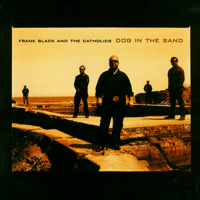 Cover image for Dog in the Sand