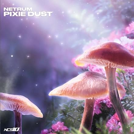 Album cover art for "Pixie Dust" by Netrum
