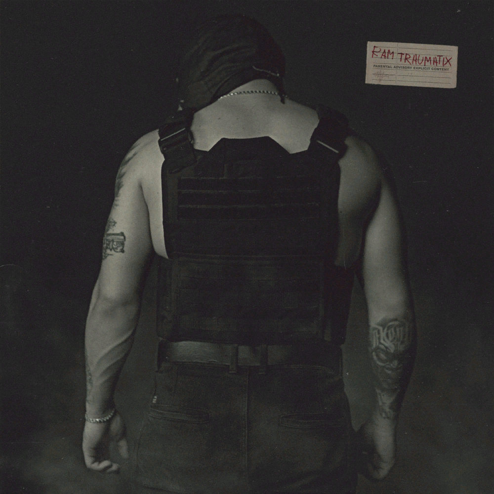 Cover image for TRAUMATIX