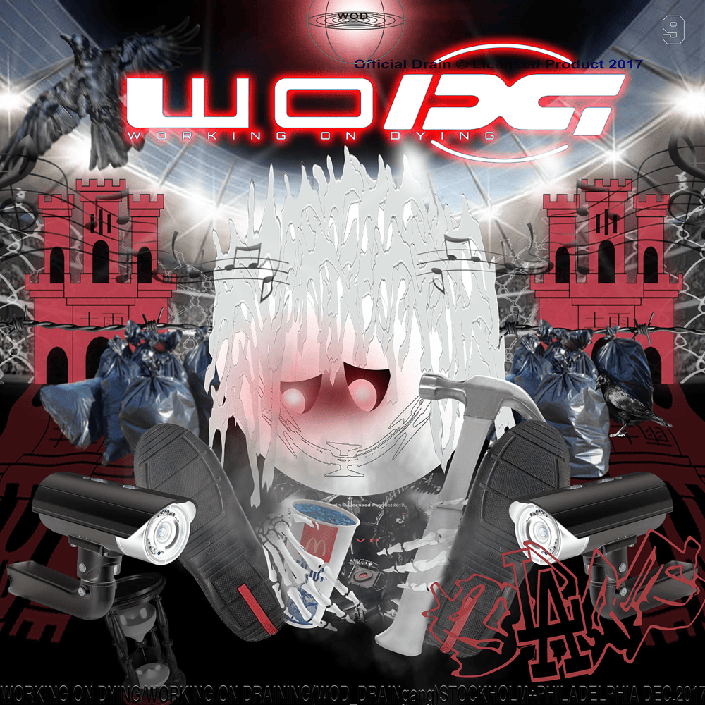 Cover image for Working on Dying
