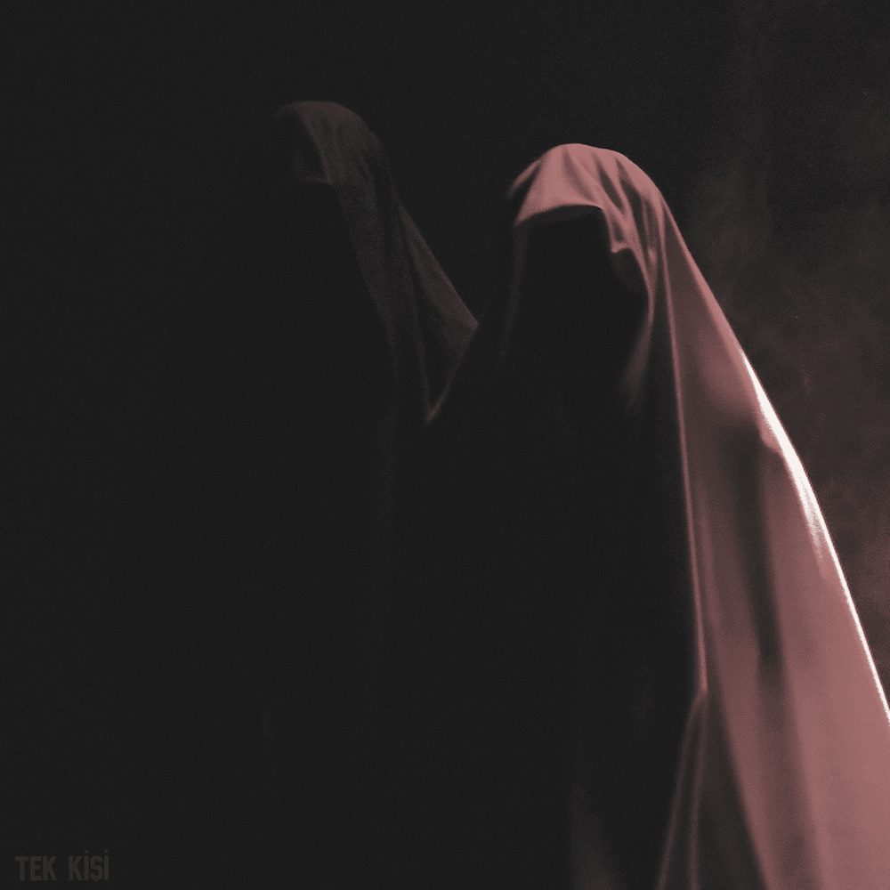 Album cover art for "Tek Kişi" by Rota