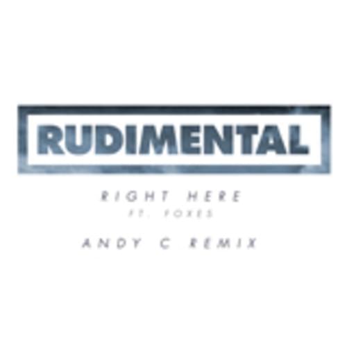 Album cover art for "Right Here (Andy C Remix)" by Rudimental & Foxes