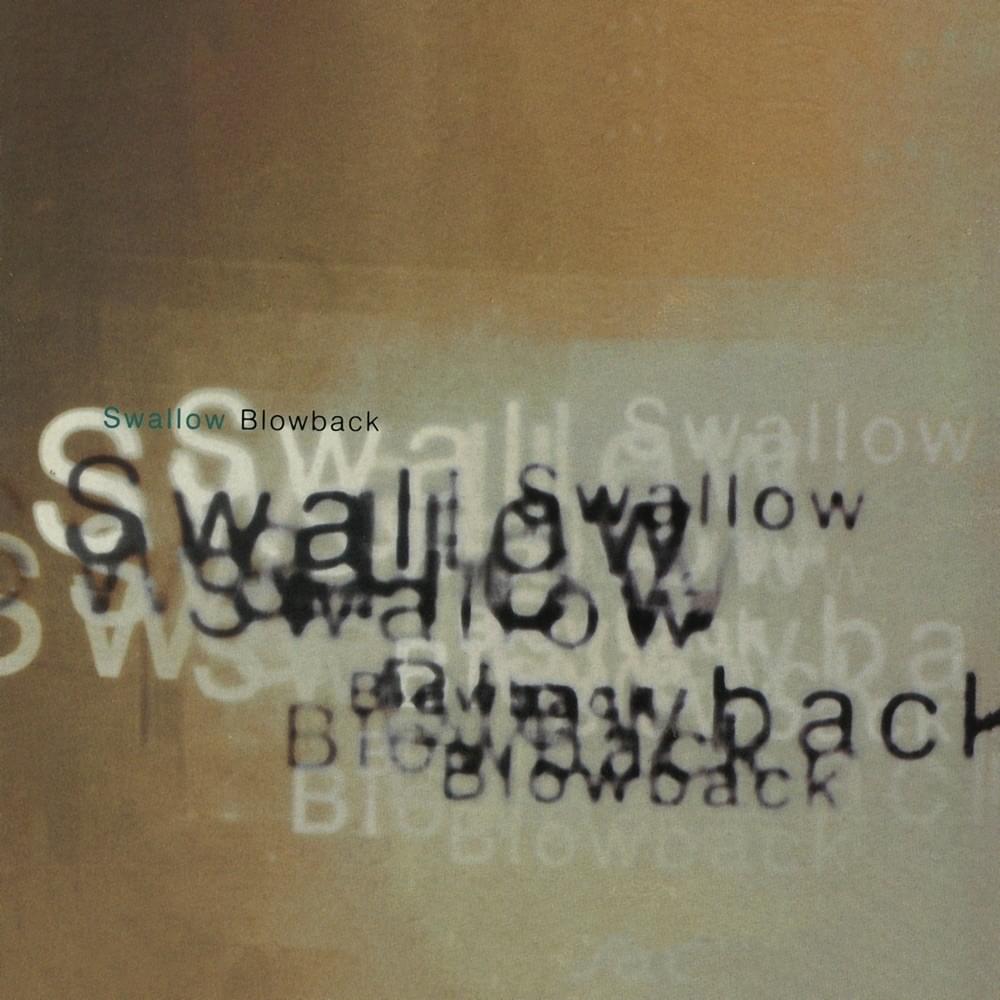 Head In A Cave by Swallow