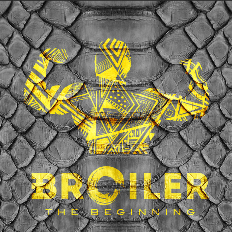 Cover image for The Beginning